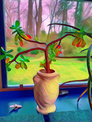Jade Plant - Illustration