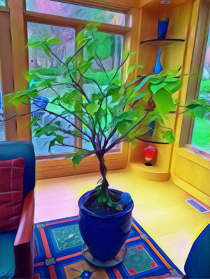 Hibiscus Tree - Illustration